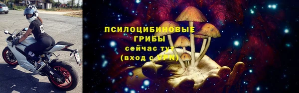 твердый Алексин