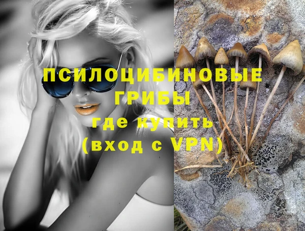 твердый Алексин